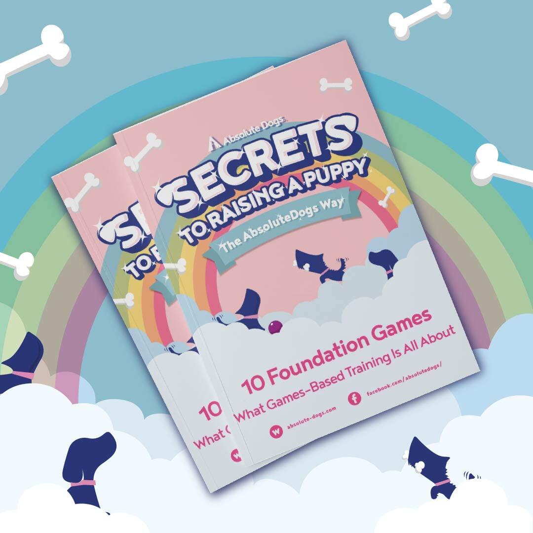 10 Foundation Games for your puppy