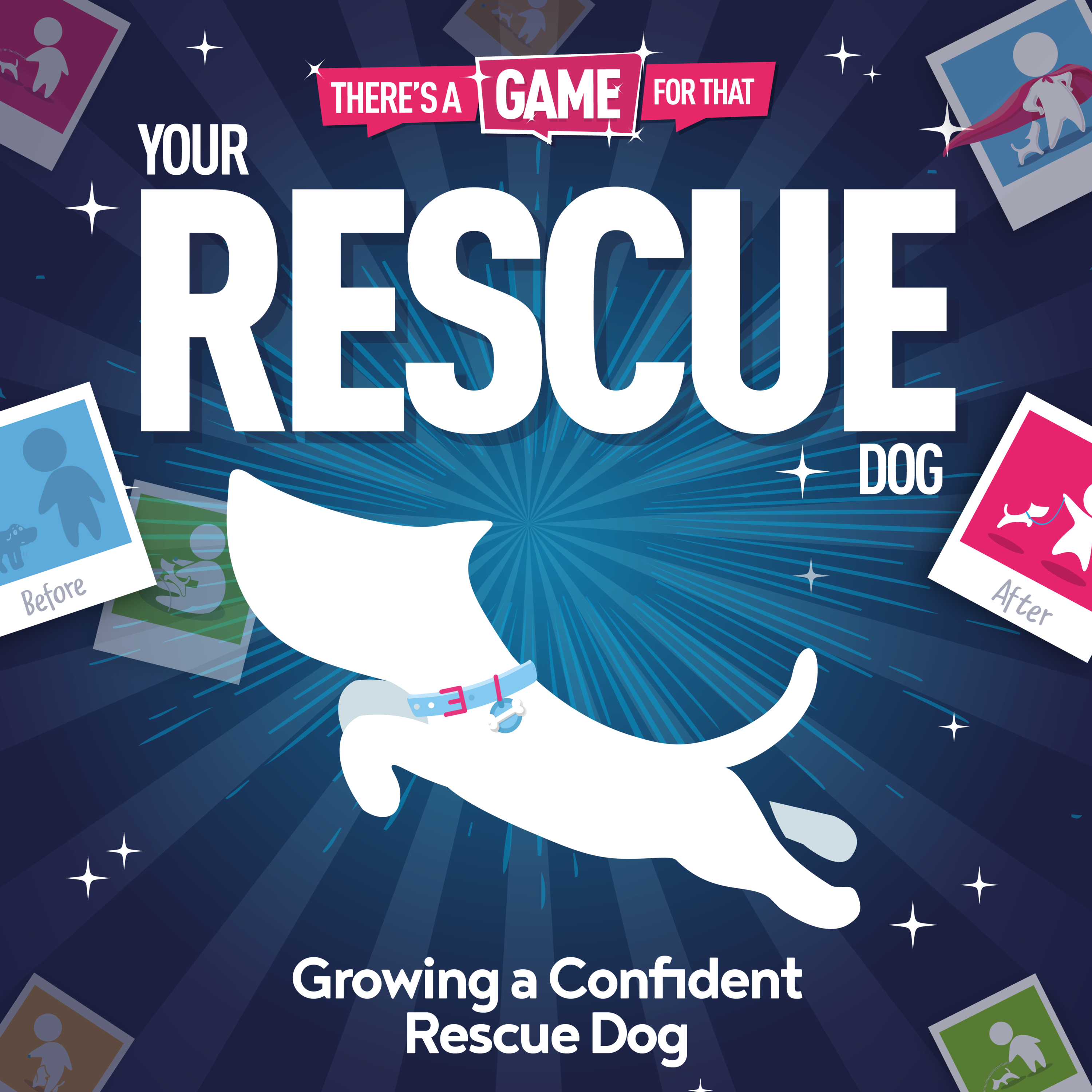 Rescue Dogs | Growing Confidence